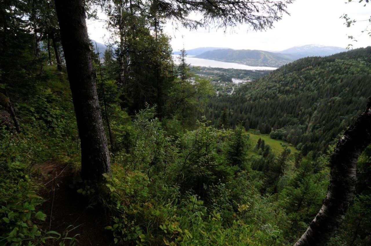 I Skaret er det bratt men det gir en flott utsikt. Her ser vi Varmosletta under oss