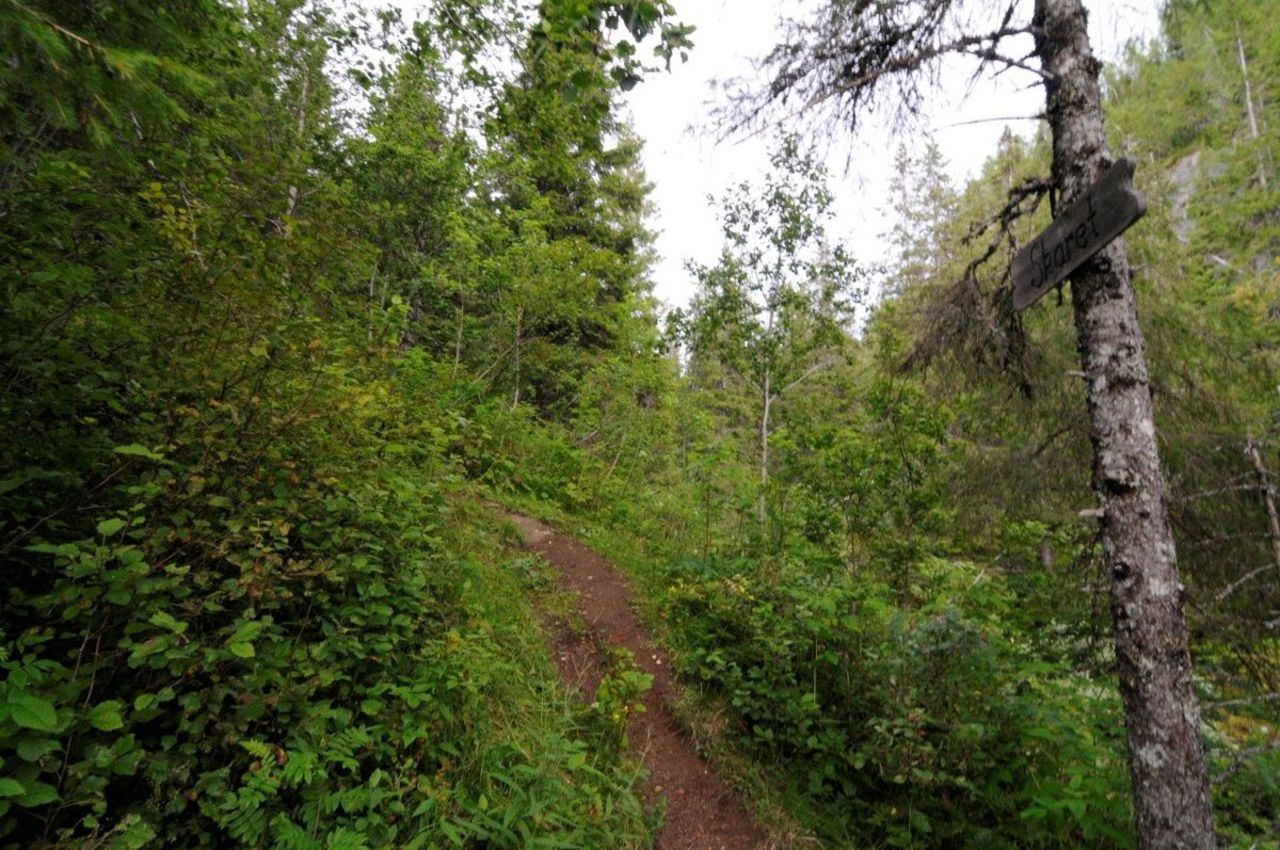 Øverst i Skaret så ta til høyre rett etter skiltet ned og over bekken