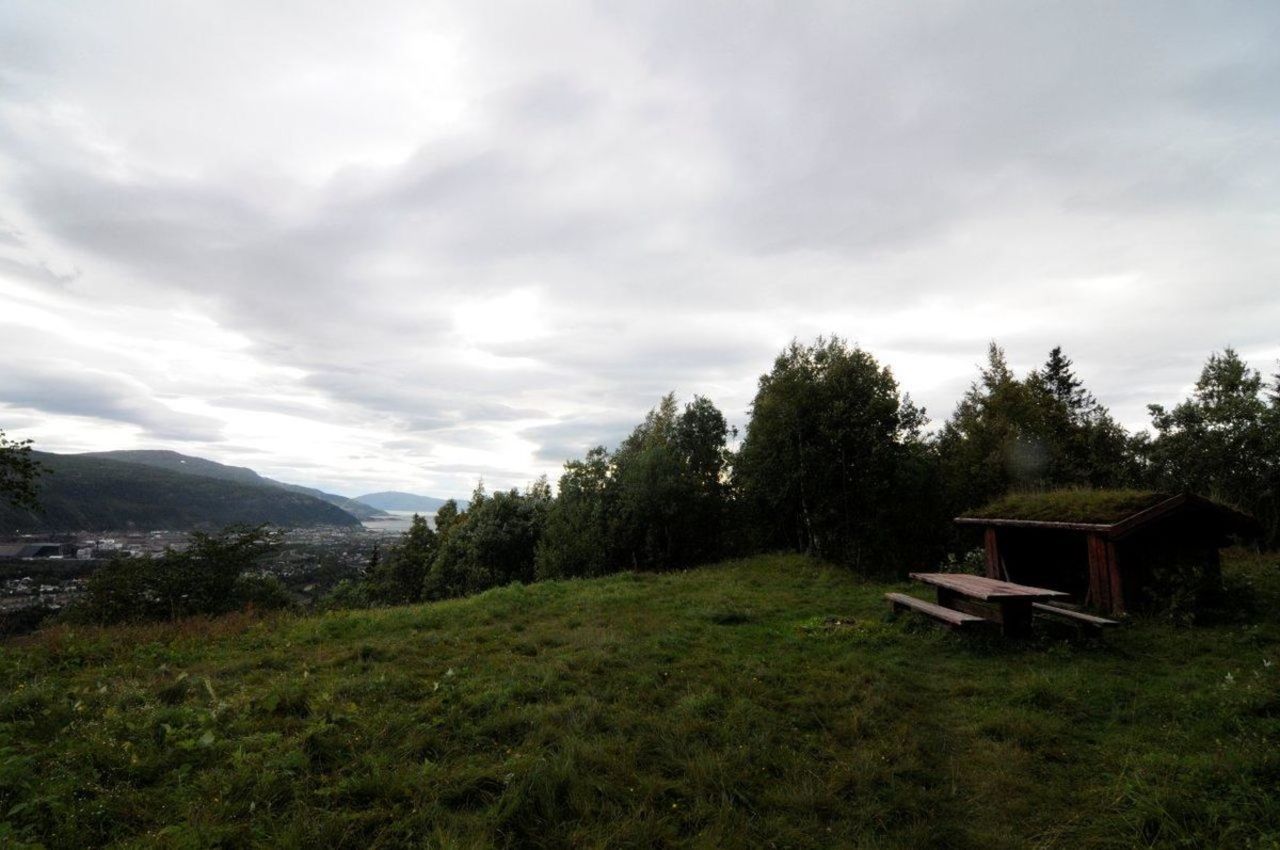 På Selfjorsfjellet belønnes vi med fine sitteplasser med flott utsikt