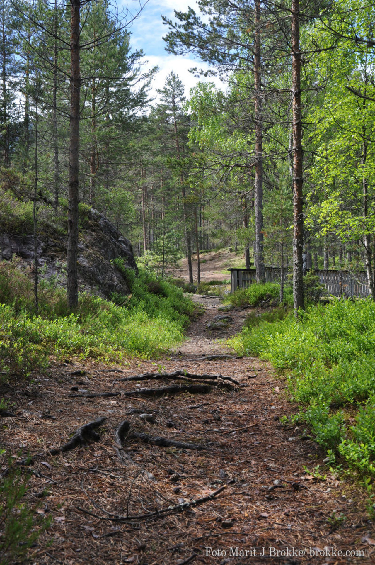 Rysstad Turpark- midt i Setesdal.