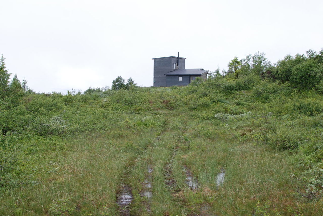 Gammel-linken som er turmålet i sikte