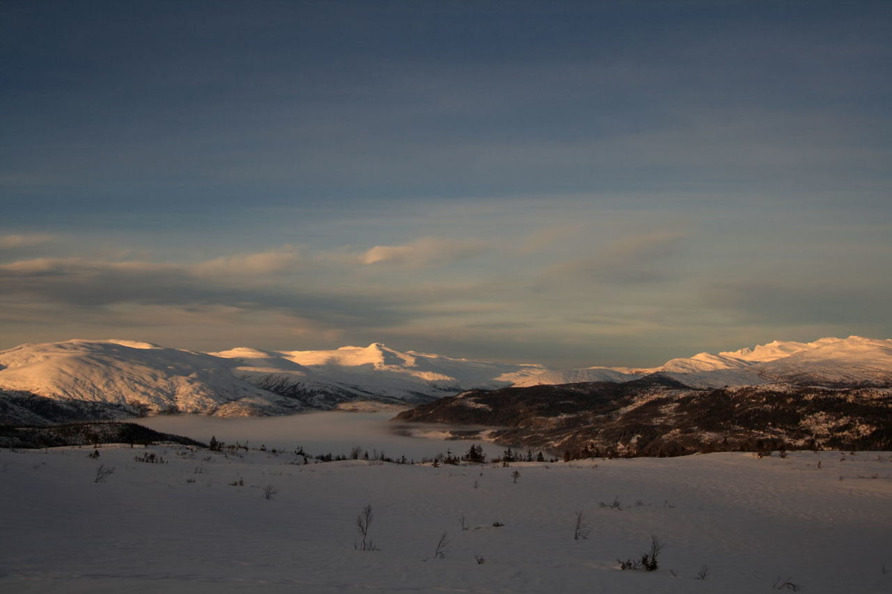 Utsikt mot Snøfjellet, Høgtuva og Langvatnet