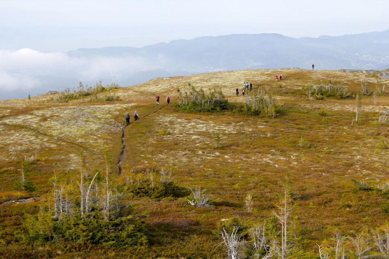 Vassfjellet