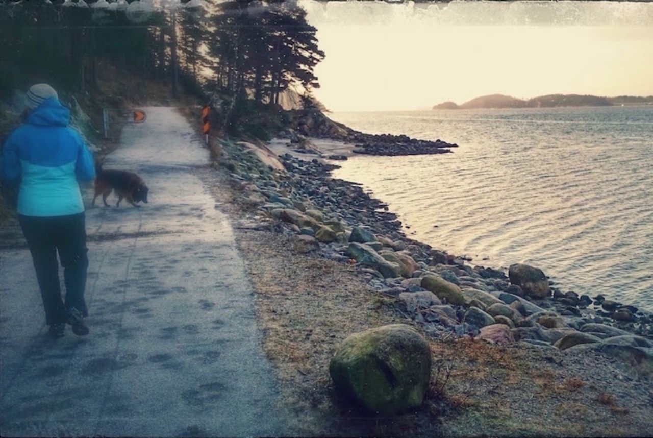 Høysand