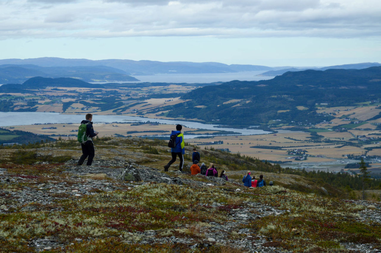 Vassfjellet