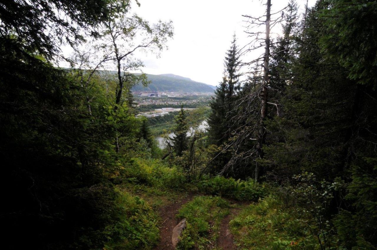 På tur ned av Selfjorsfjellet så har vi glimtvis også fin utsikt