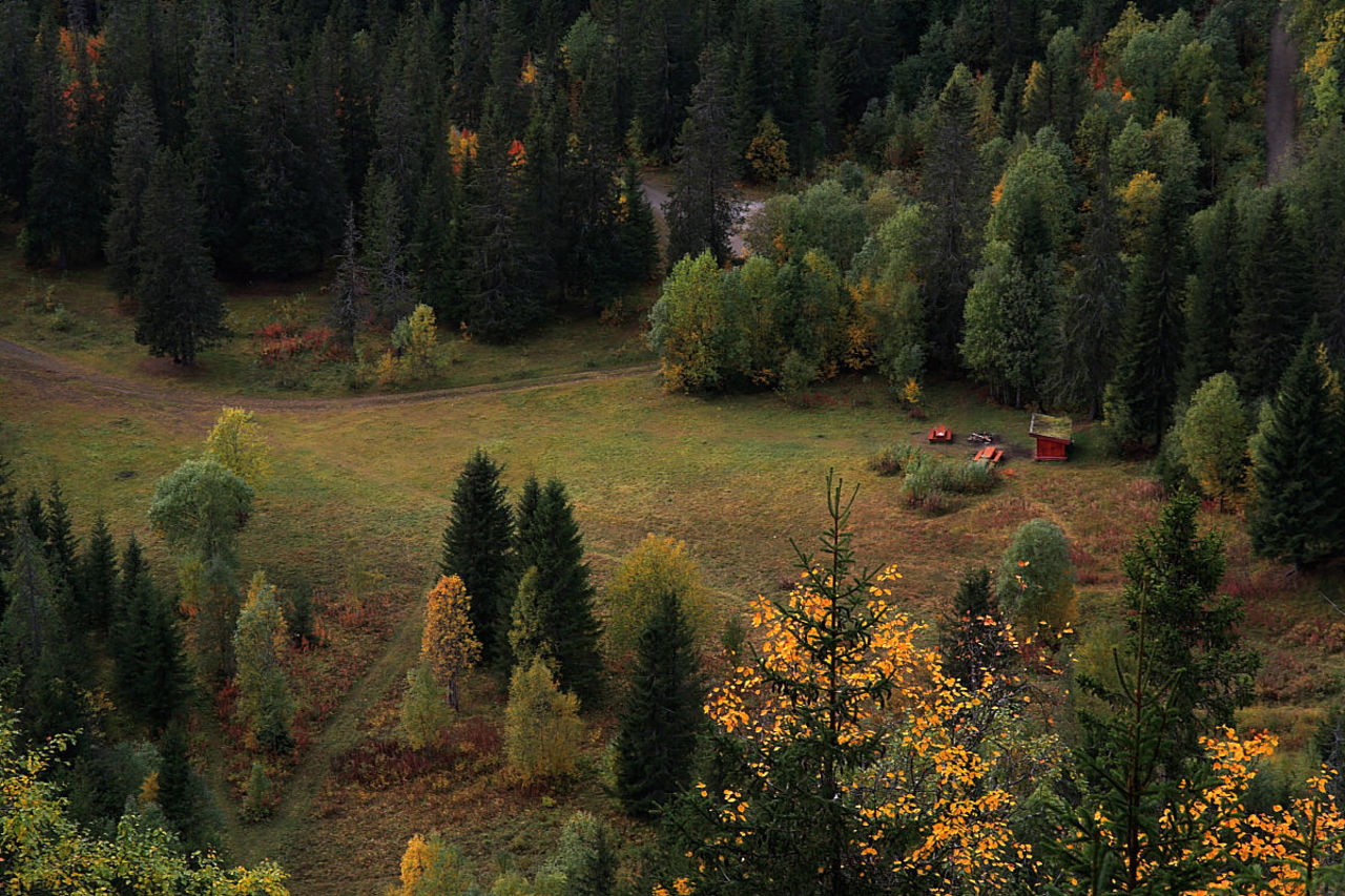 Varmosletta sett fra Skaret