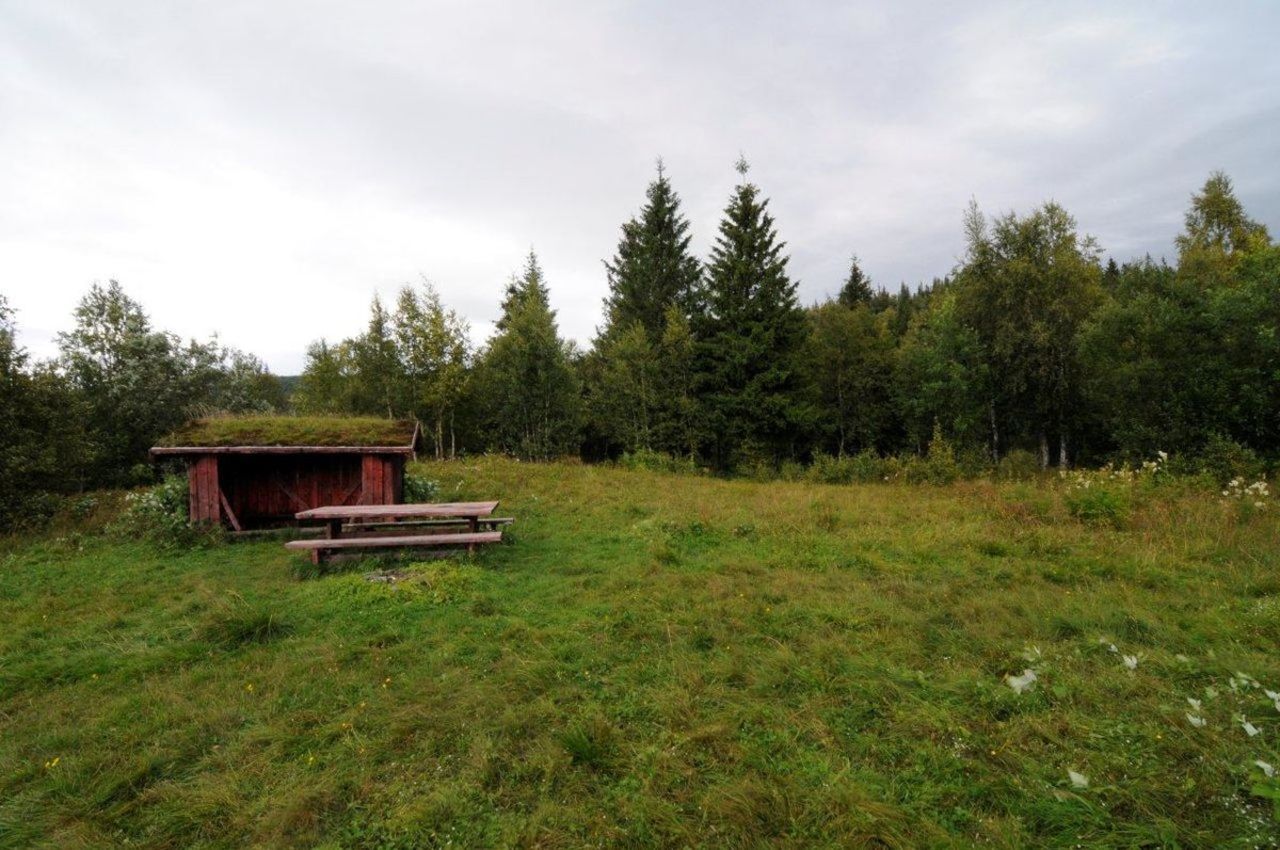 Turen til Selforsfjellet belønnes med fin utsikt på toppen