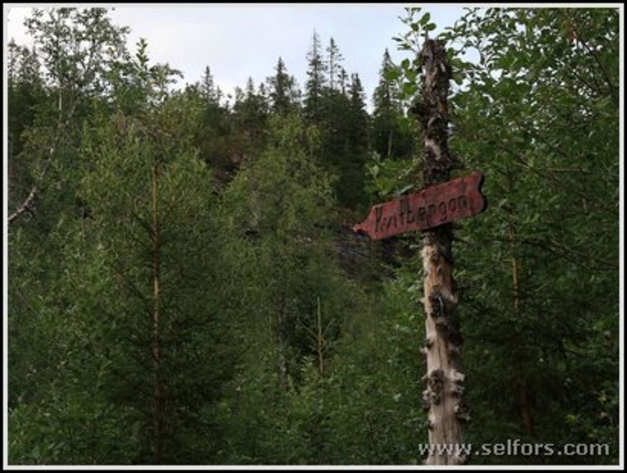 Veiskille. Her tar man av fra skogsveien og opp til Kvitbergan