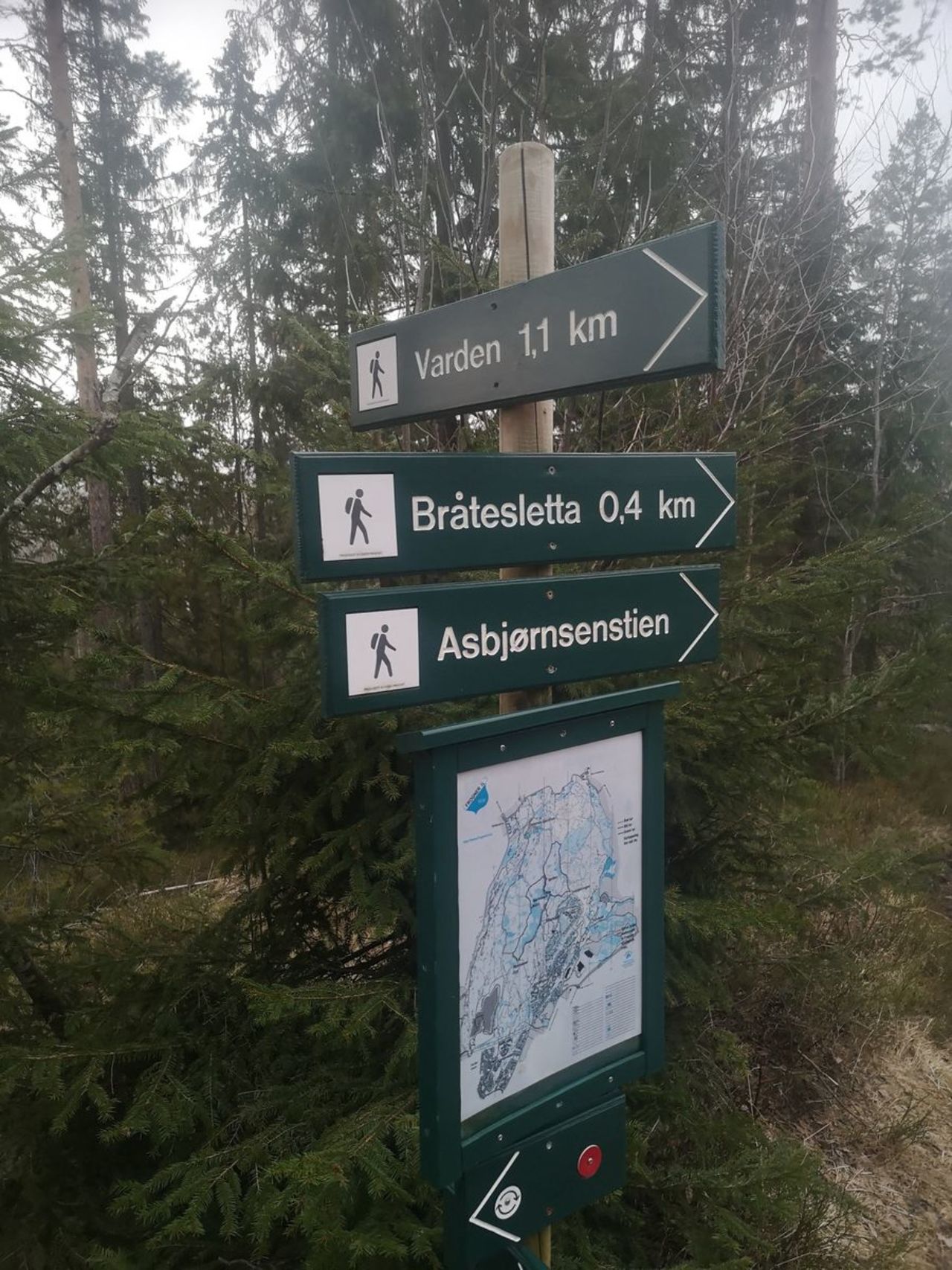 Nærtur. Bråtasletta - Vardåsen