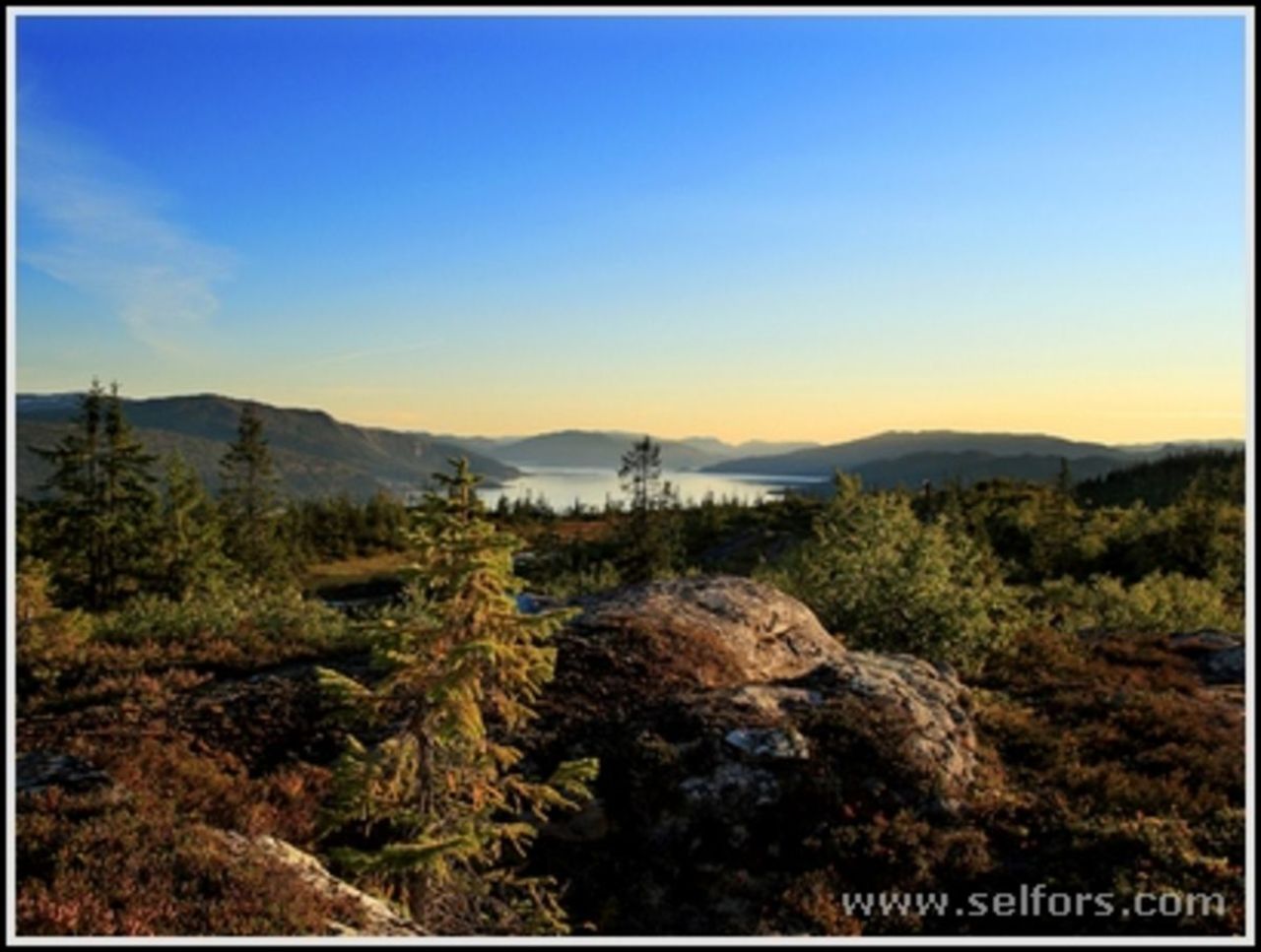 Utsikt mot Ranfjorden en sen sommerkveld