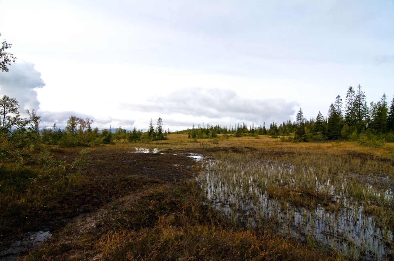 Myra som krysses når det er forhold til det. Er det veldig vått gått langs kanten til Loftfjelldalen og følg sti opp til overgangen