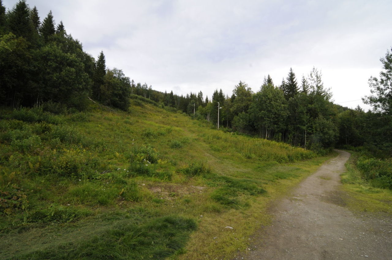 Turen starter ved Skibua til Selfors UL. Deretter følg veien  opp til litt over 2km og ta sti til Kvitbergan