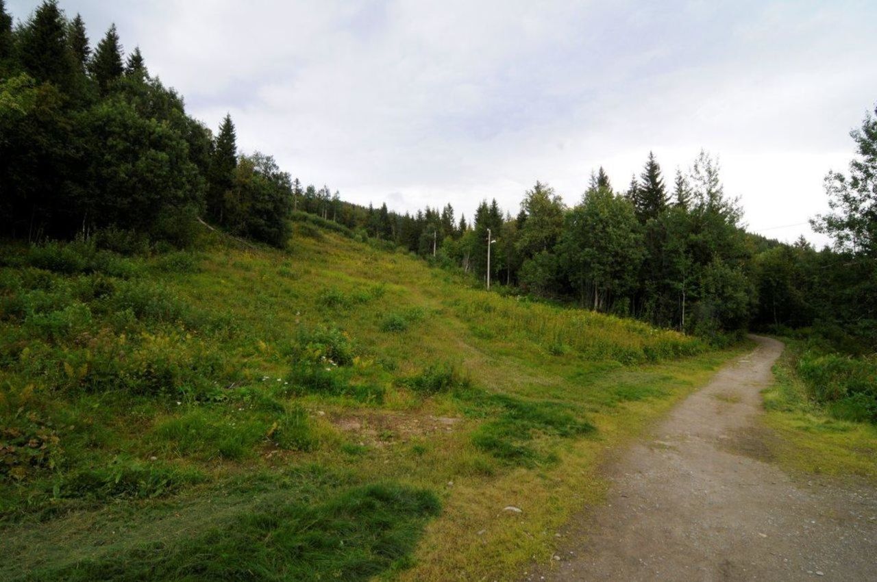 Turen starter ved Skibua og slalomlia rett ved parkeringsplassen