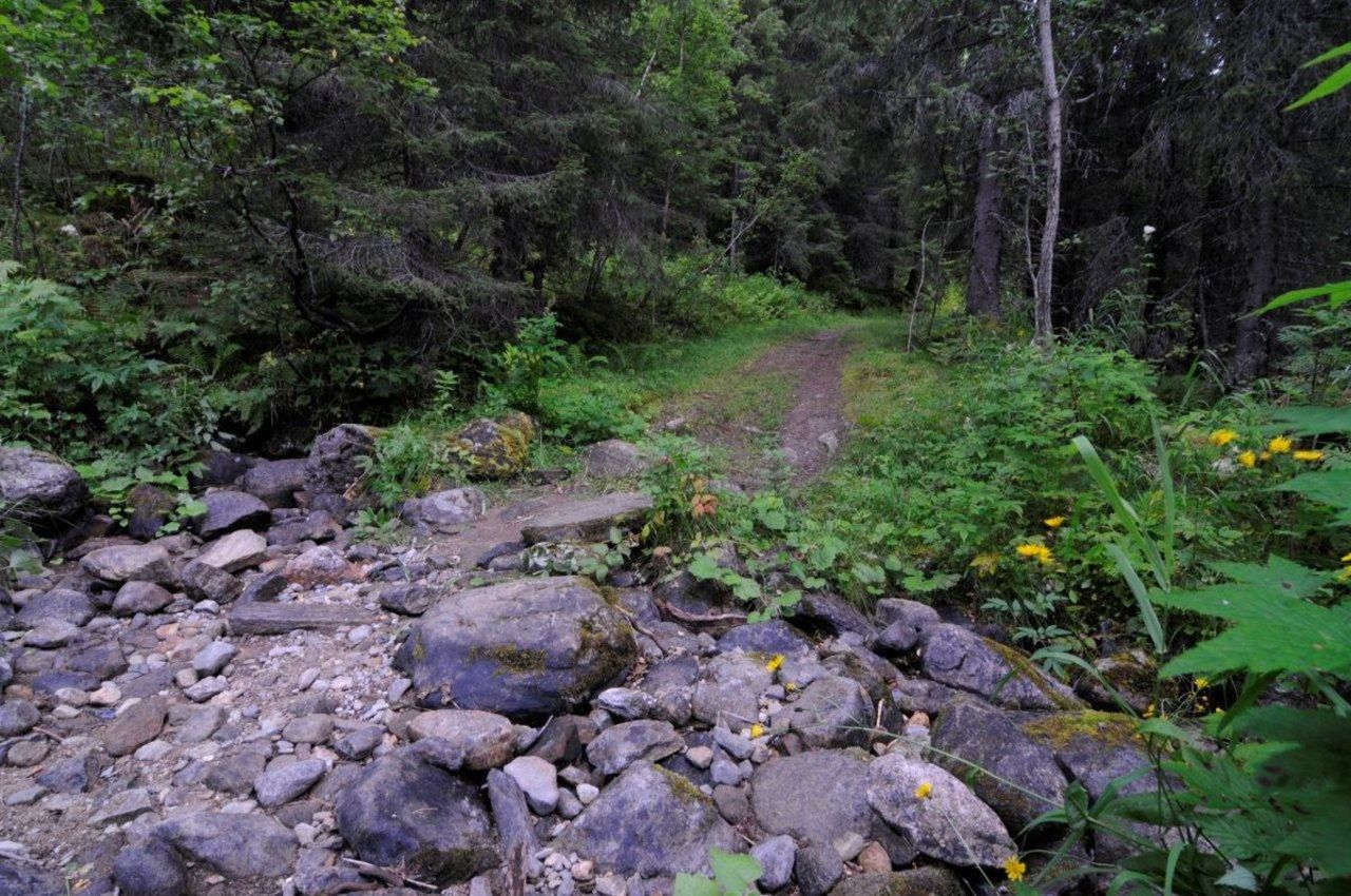 På vei opp mot Selforsfjellet passerer man små idylliske bekker