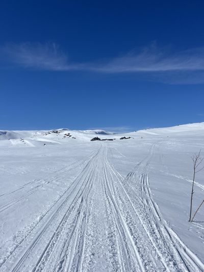 Vinterkvistet mellom Finse og Krækkja, 17.april 2024