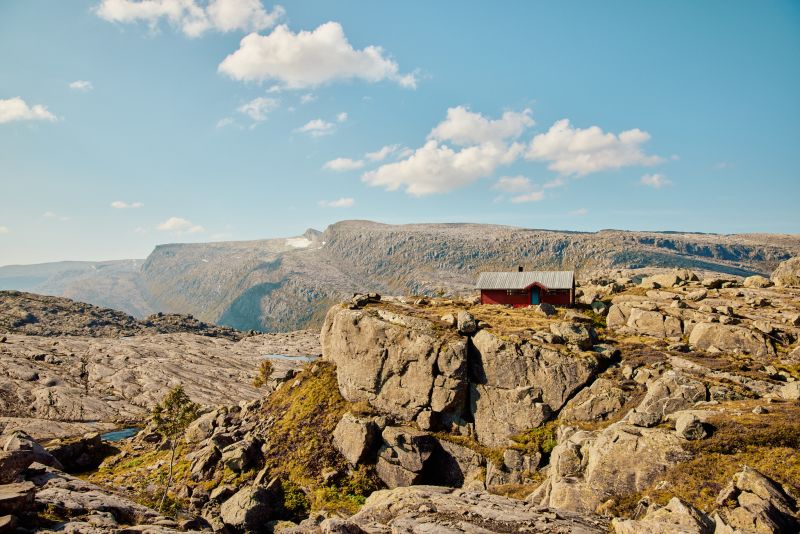 Blåbrebu