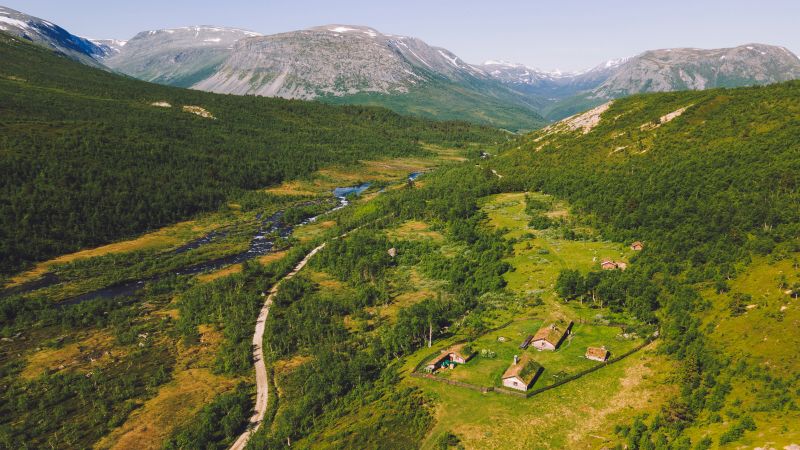 Gammelsetra
