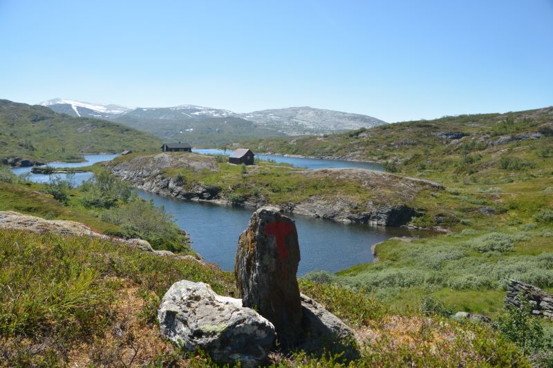 Torvedalshytta