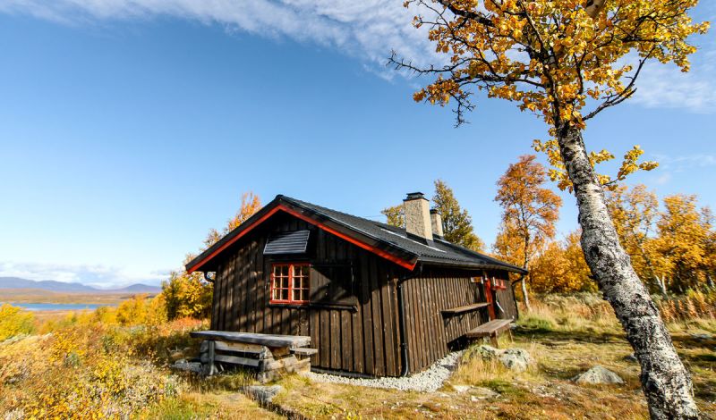 Skriurusten