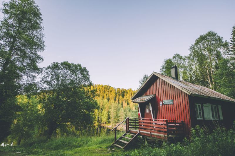 Røyrivannskoia