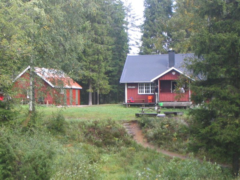 Budalsvika