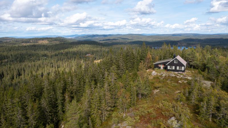 Ringkolltoppen