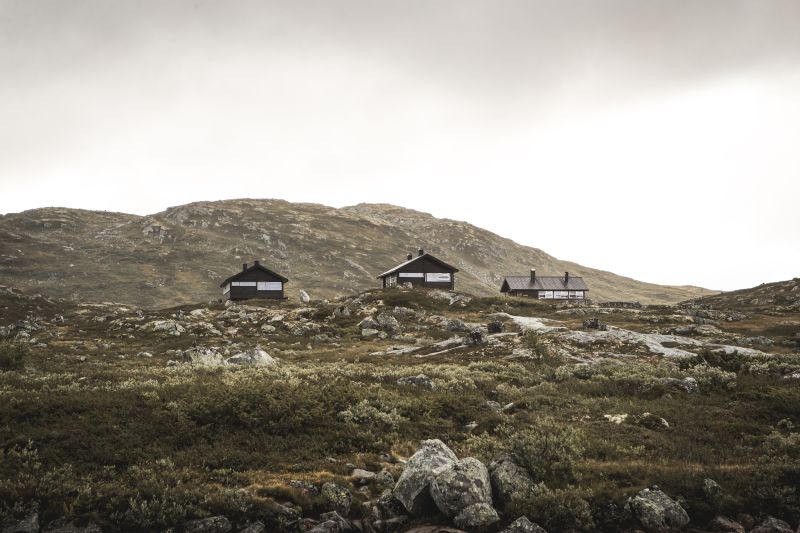 Kjeldebu