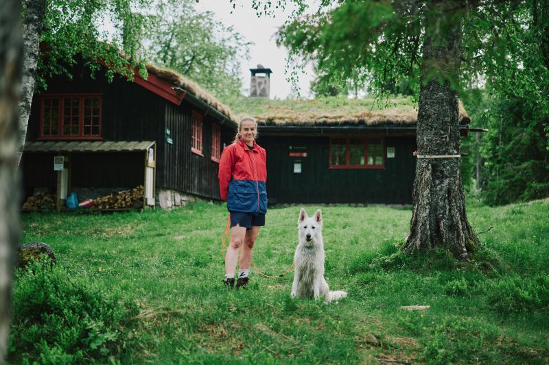 Svartpoten