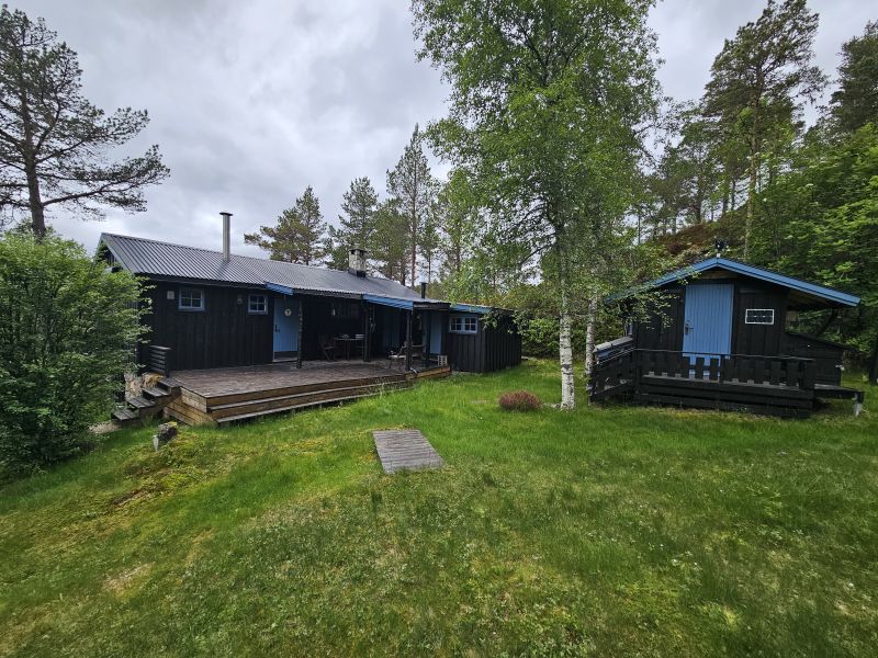 Ørnebu