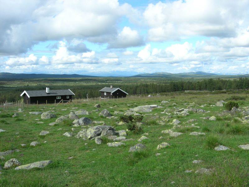 Haldorbu