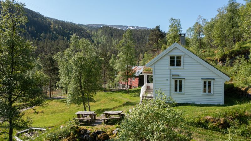 Træet gård