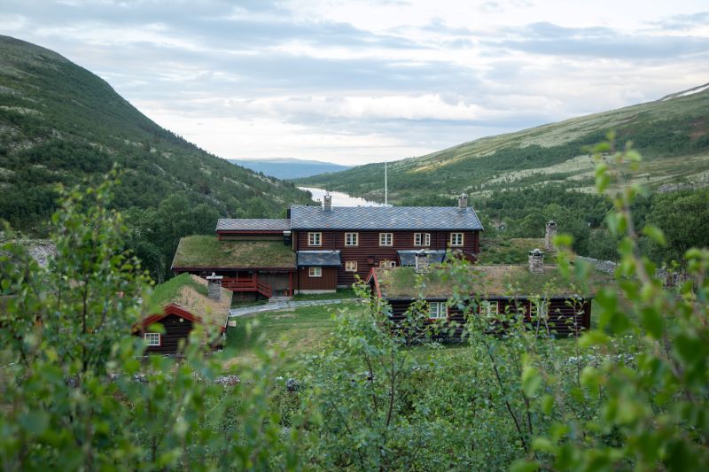 Bjørnhollia
