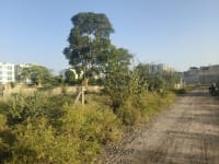 Plot in Mahadev nagar, Palwas road - photo 1
