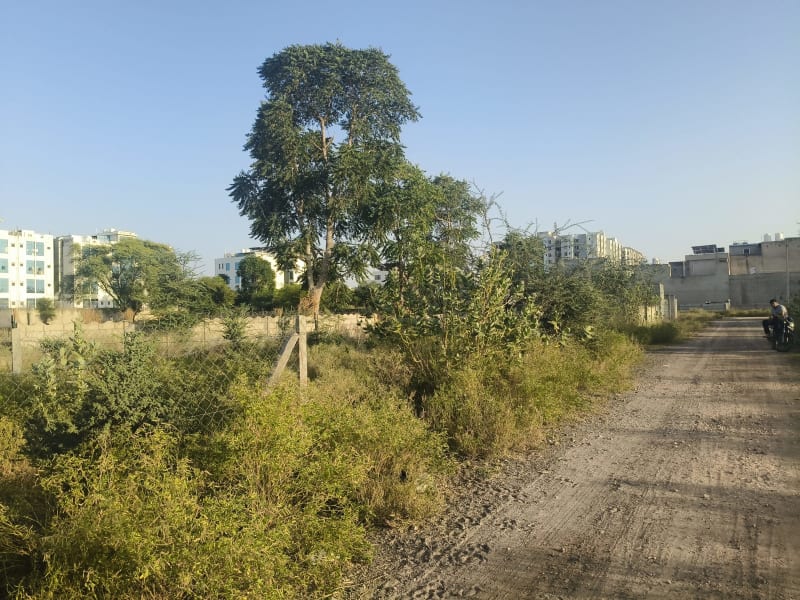 Plot in Mahadev nagar, Palwas road