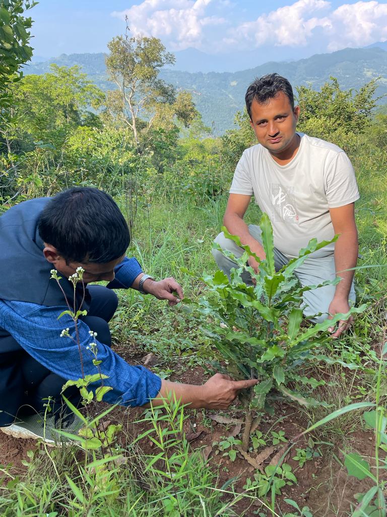 Compost Manure Training to Leader Farmers