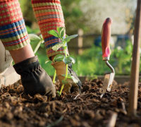 Garden Services