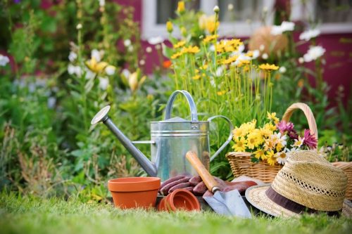 Nubilo | Garden Services