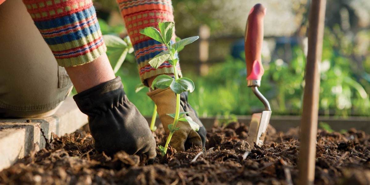 Sample Gardening Co