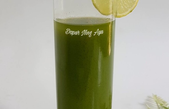 Resep  Jus Sayur Dengan Bahan Sederhana