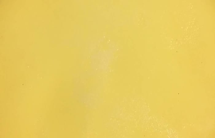 Resep Lontar Pie Susu Papua Teflon Paling Mudah dan Enak