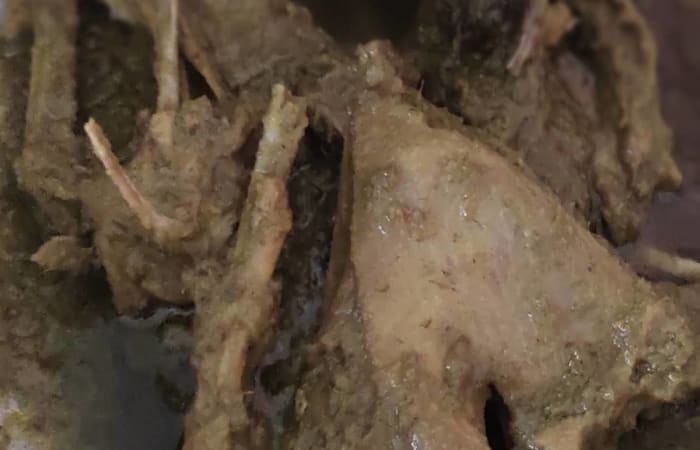 Resep Bebek Goreng Madura Dengan Bahan Sederhana