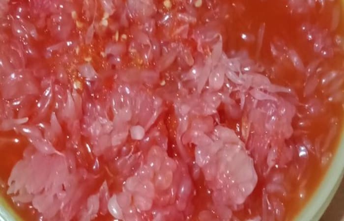 Resep Asinan Jeruk Bali Paling Mudah dan Enak