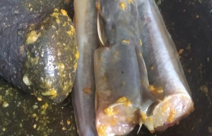 Resep Lele Goreng Tradisional Favorit Bunda