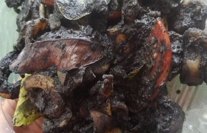 Resep Cumi Masak Hitam Madura Jawa Timur Favorit Bunda