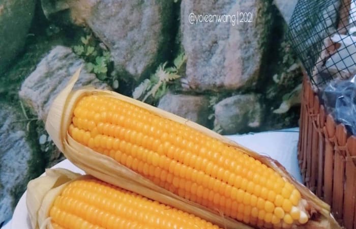 Resep Jagung Kukus Paling Mudah dan Enak