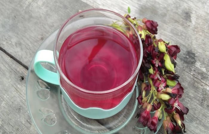 Resep Wedang Bunga Belimbing Wuluh Rasanya Maknyus