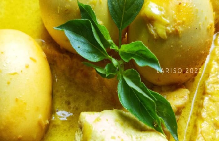Resep Opor Telor Tahu Tempe Dengan Bahan Sederhana