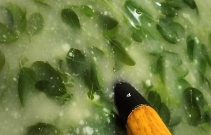 Resep Sayur Kelor Khas Madura Rasanya Maknyus