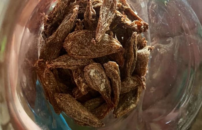 Resep Asam Sunti Khas Aceh Paling Mudah dan Enak
